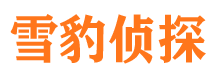 秦淮市私家侦探公司